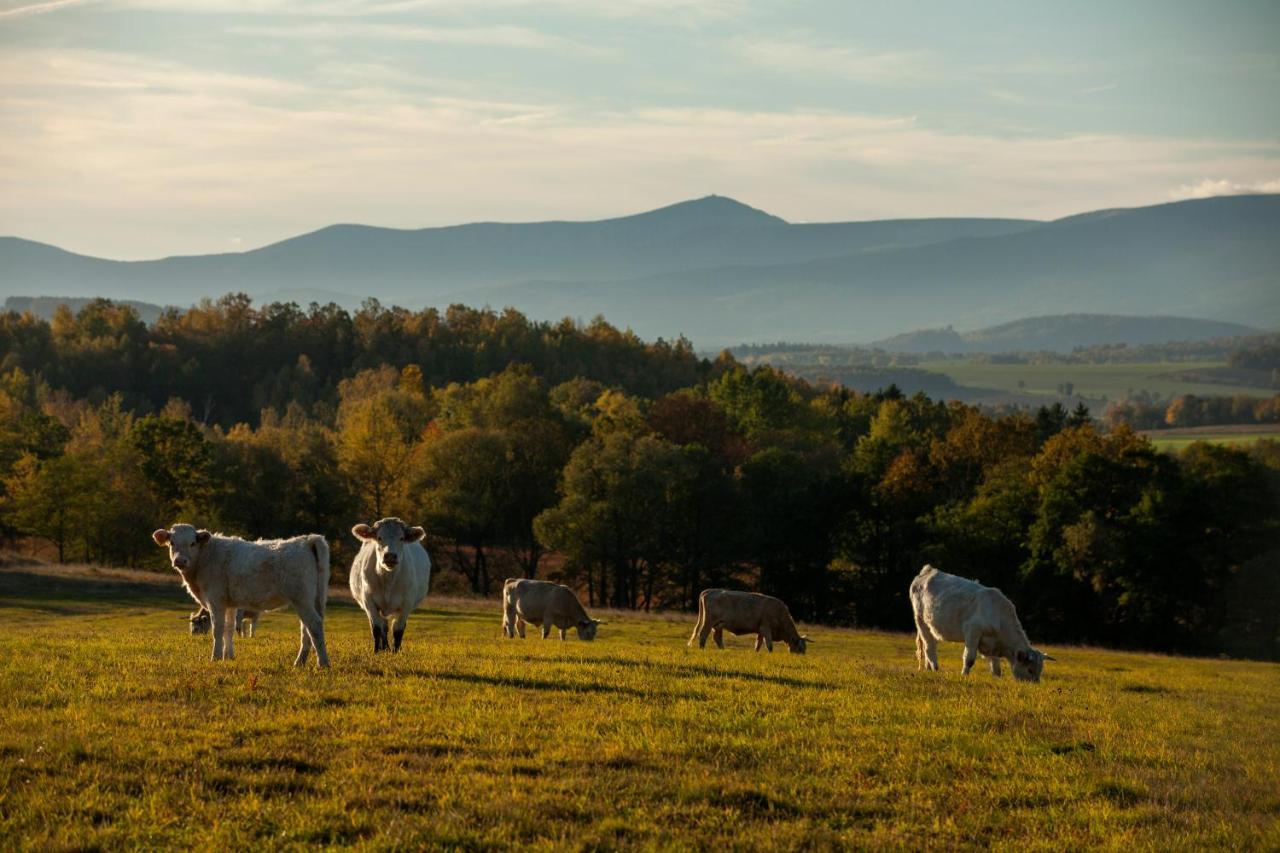 Widogruszka- Klimatyczny dom z kominkiem w Górach Grudza Zewnętrze zdjęcie