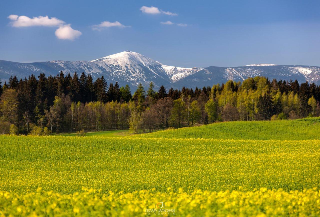 Widogruszka- Klimatyczny dom z kominkiem w Górach Grudza Zewnętrze zdjęcie